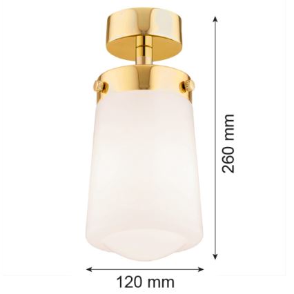 Argon 8005 - Surface-mounted Lustre PASADENA 1xE27/15W/230V doré/blanc