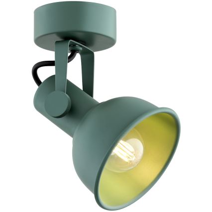 Argon 8299 - Faretto LENORA 1xE14/7W/230V verde