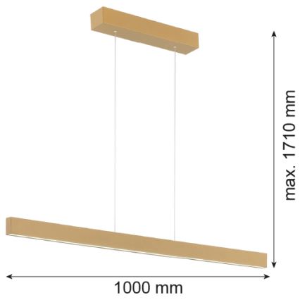 Argon 8306 - Lampadario LED a sospensione con filo BALANS LED/35W/230V 3000K oro