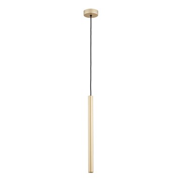Argon 8327 - Suspension filaire LED RIO LED/4,2W/230V 3000K doré