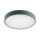 Argon 8335 - Plafoniera LED TIAMO LED/22W/230V 4000K verde