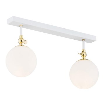 Argon 845 - Plafoniera da soffitto per bagno LATINA 2xE14/40W/230V IP44