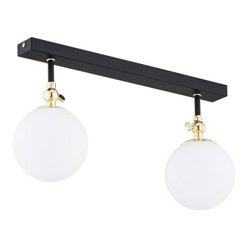 Argon 846 - Plafonnier affleurant LATINA pour salle de bains 2xE14/40W/230V IP44