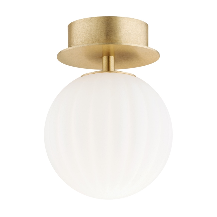 Argon 8504 - Applique PALOMA 1xE14/7W/230V oro/bianco