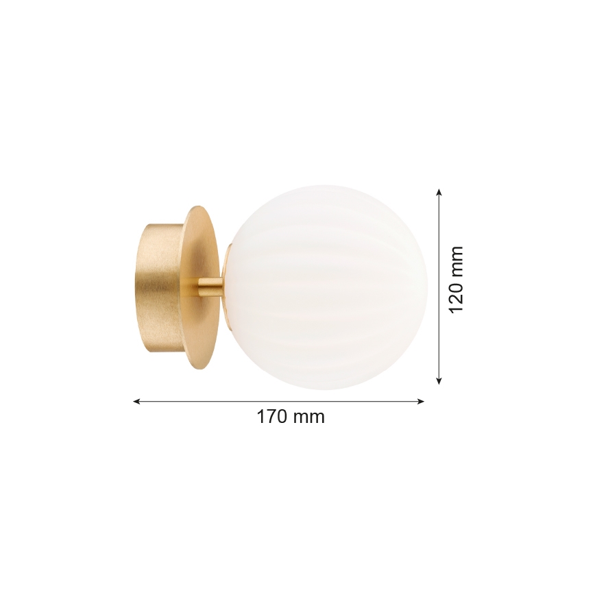 Argon 8504 - Applique PALOMA 1xE14/7W/230V oro/bianco