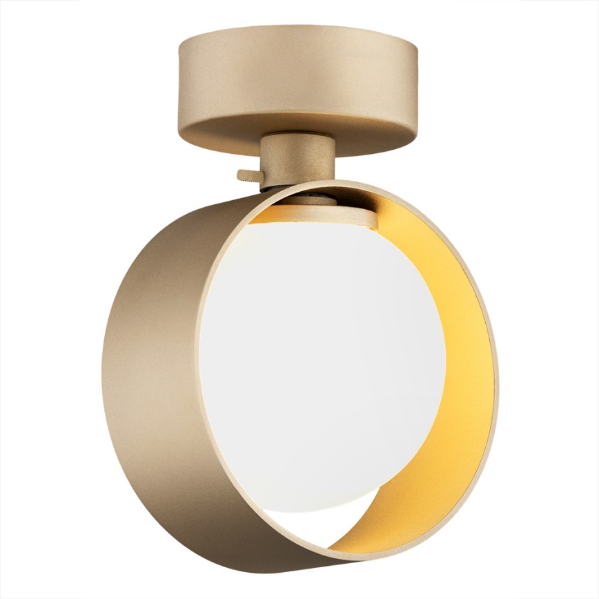 Argon 8567 - Applique da bagno MASSIMO PLUS 1xG9/6W/230V IP44 oro