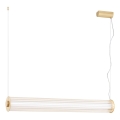 Argon 8627 - Lampadario LED a sospensione con filo HAMPTON LED/60W/230V 3000K 80 cm ottone