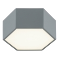 Argon 8784 - LED-Deckenleuchte LIBERO LED/12W/230V 3000K grau