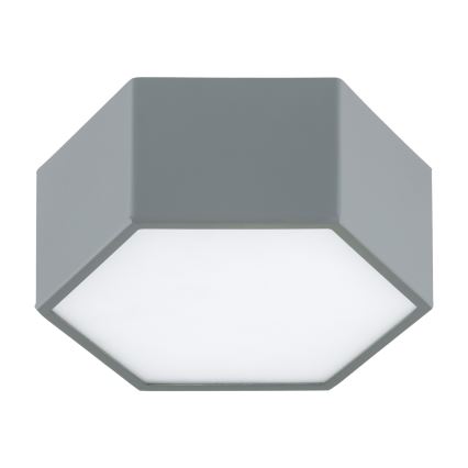 Argon 8784 - Plafoniera LED LIBERO LED/12W/230V 3000K grigio