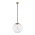 Argon 8828 - Hängeleuchte SACRAMENTO 1xGX53/8W/230V klar/golden