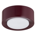 Argon 8904 - Deckenleuchte ELORA 1xGX53/7W/230V Ø 11 cm weinrot