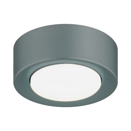Argon 8917 - Deckenleuchte ELORA 1xGX53/7W/230V Ø 11 cm grau