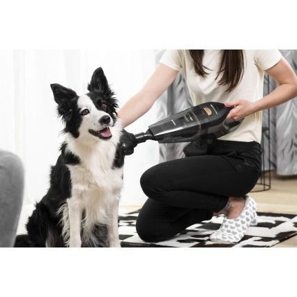 Concept VP4353 - Aspirateur à main WET & DRY AVEC EXTENSION RISER 110W/18,5V 2200 mAh noir