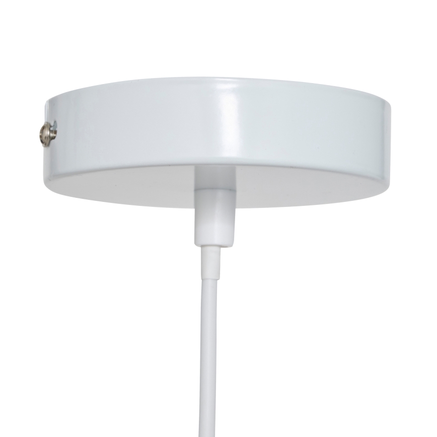 Atmosphera - Lampadario a sospensione per bambini SCOTT su cavo 1xE27/40W/230V a tema cani
