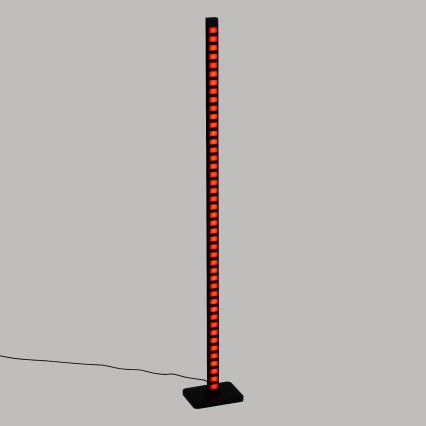 Atmosphera - Lampada da terra LED RGB dimmerabile APE LED/230V + telecomando