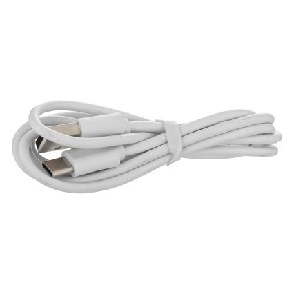 Atmosphera - LED RGBW Rechargeable extérieur lampe de table ZACK LED/3,7V 1200 mAh IP44 vert