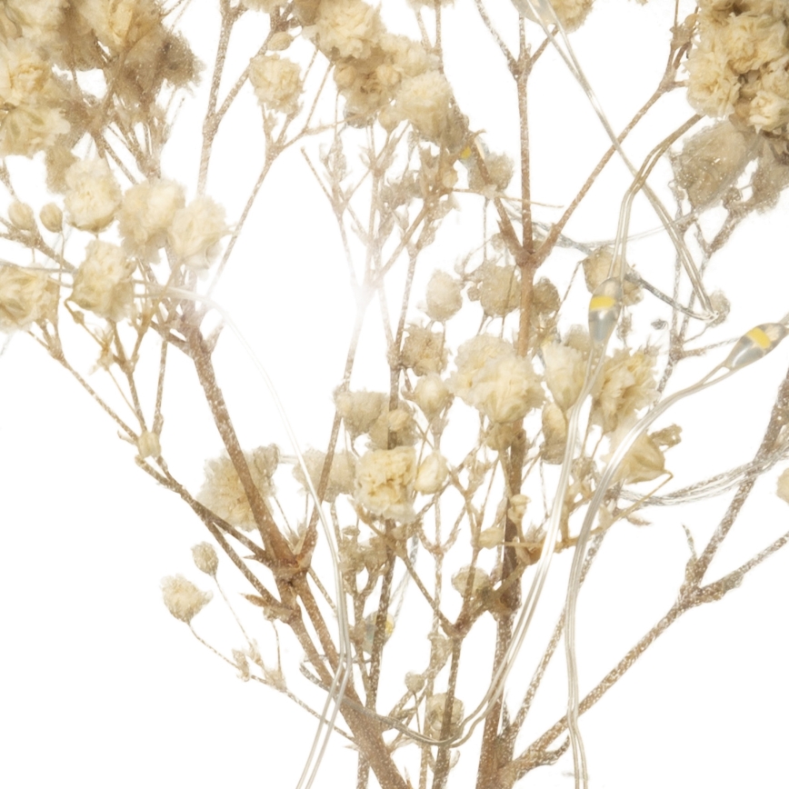 Atmosphera - LED-Tischlampe MICRO LED/2xAAA Anthrazit