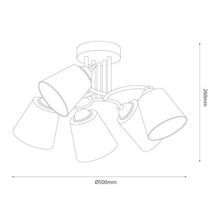 Aufbau-Deckenleuchte PAFOS 5xE27/15W/230V schwarz