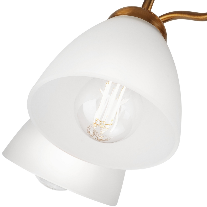 Aufbauleuchte MIRANDA 1xE27/60W/230V gold