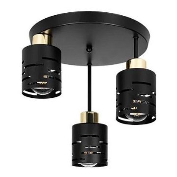 Aufgesetzte Deckenleuchte ELEN 3xE27/35W/230V schwarz/gold