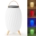 Aufladbare LED-RGB-Tischleuchte mit Lautsprecher 60W/2200 mAh IPX5