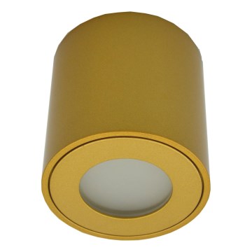 Außen-Spotleuchte FARA 1xGU10/30W/230V IP54 goldfarben