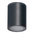 Außenstrahler AQILO 1xGU10/7W/230V IP65 anthrazit