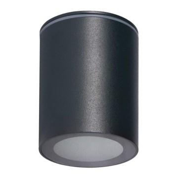 Außenstrahler AQILO 1xGU10/7W/230V IP65 anthrazit