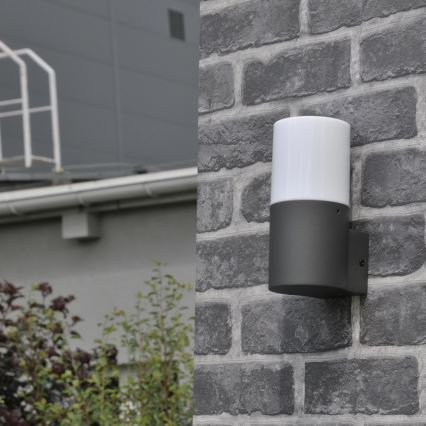 Außenwandleuchte DALLAS 1xE27/12W/230V IP44 Anthrazit