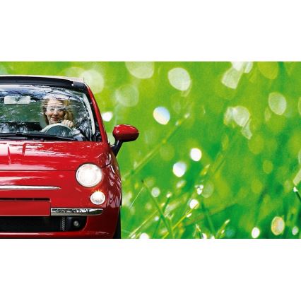 Autoglühbirne Philips ECOVISION 12972LLECOB1  H7 PX26d/55W/12V