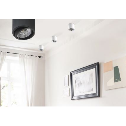 Azzardo AZ1356 - Plafoniera ALIX 1xG53/50W/230V/12V