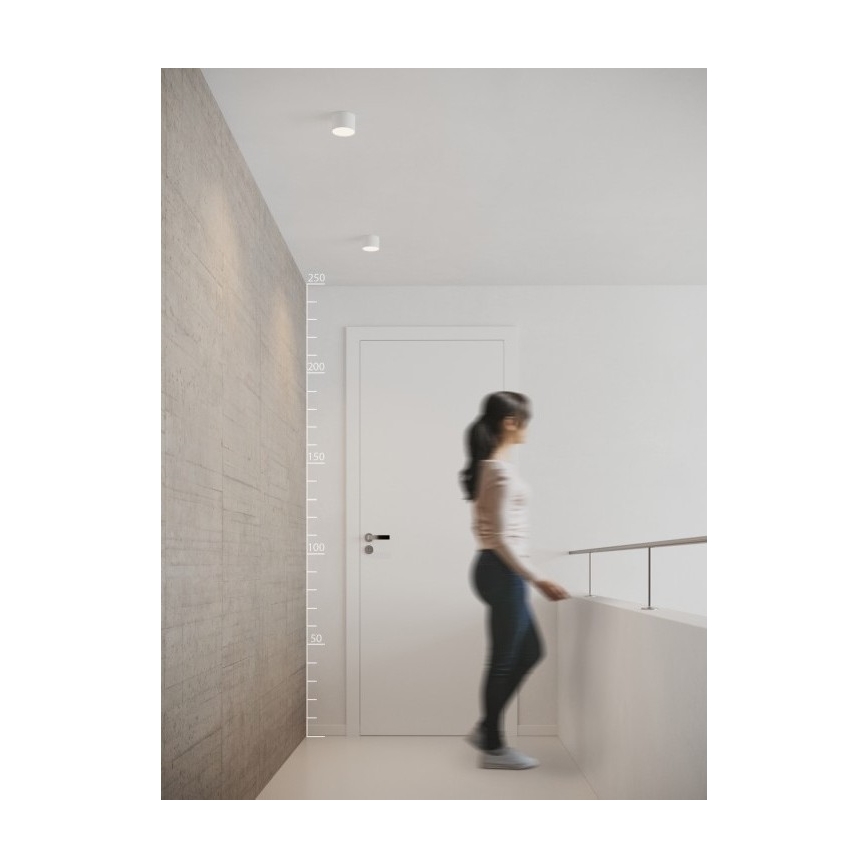 Azzardo AZ2253 - LED Deckenleuchte MONZA 1xLED/5W/230V