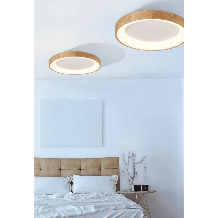 Azzardo AZ2698 - Plafoniera LED SILVAM 1xLED/50W/230V