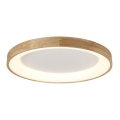 Azzardo AZ2698 - Plafonnier LED SILVAM LED/50W/230V