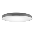 Azzardo AZ2743 - Plafoniera LED CORTONA 1xLED/50W/230V 3000K