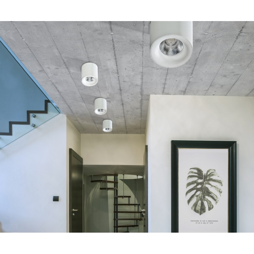 Azzardo AZ2845 - LED Deckenleuchte MANE LED/10W/230V