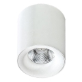 Azzardo AZ2845 - Plafoniera LED MANE/10W/230V