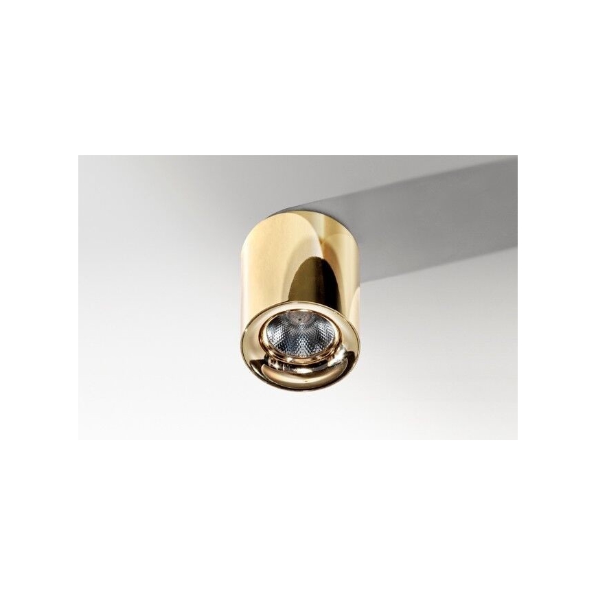 Azzardo AZ2846 - LED Deckenleuchte MANE 1xLED/10W/230V