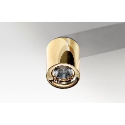 Azzardo AZ2846 - LED-Deckenleuchte MANE LED/10W/230V