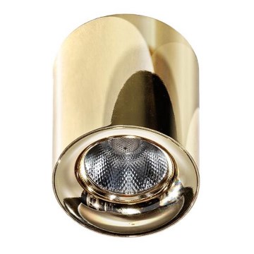 Azzardo AZ2846 - Plafoniera LED MANE LED/10W/230V