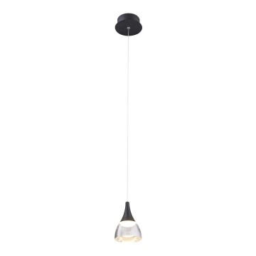 Azzardo AZ2847 - Lampadario LED a sospensione DALMATIA su cavo LED/5W/230V