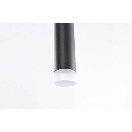 Azzardo AZ3155 - Lampadario LED a sospensione con filo LOUISE LED/3W/230V