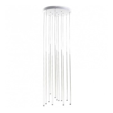 Azzardo AZ3421 - Lampadario LED a sospensione con filo LOUISE 12xLED/3W/230V bianco