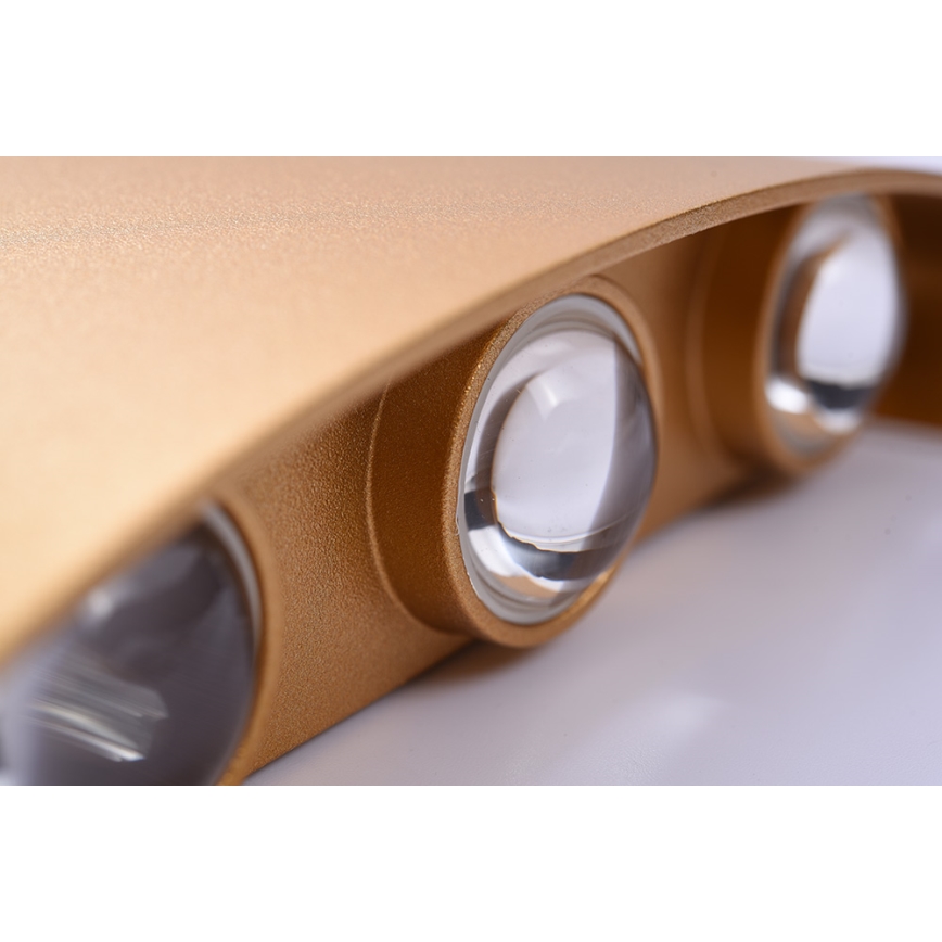 Azzardo AZ3485 - Applique a LED da esterno GINNA LED/6W/230V IP54