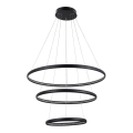 Azzardo AZ4428 - LED Hängeleuchte BRIGHTON LED/55W/230V schwarz