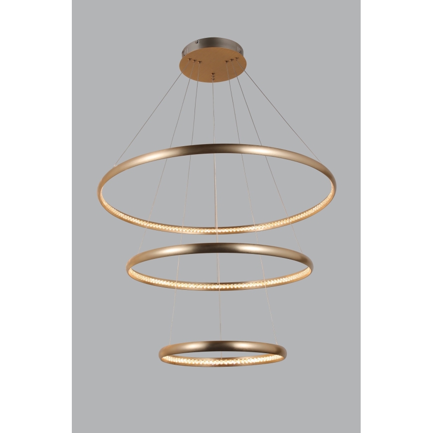 Azzardo AZ4429 - Suspension filaire LED BRIGHTON LED/55W/230V gold