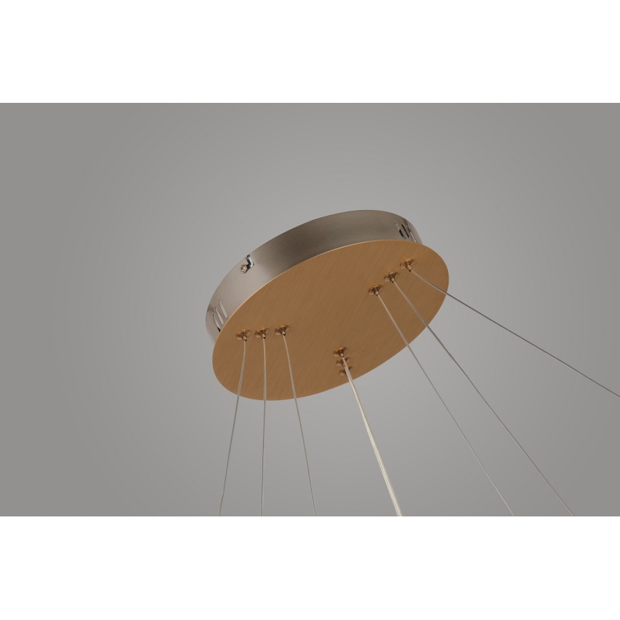 Azzardo AZ4429 - Suspension filaire LED BRIGHTON LED/55W/230V gold