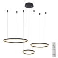Azzardo AZ4972 - Lampadario a sospensione con filo LED dimmerabile HALO LED/120W/230V nero + telecomando