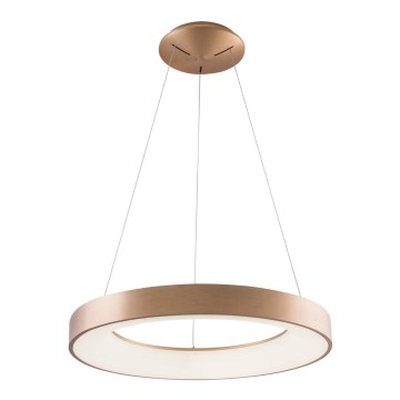 Azzardo AZ5000 - Lampadario LED a sospensione con filo SANTANA LED/30W/230V oro