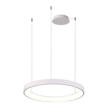 Azzardo AZ5018 - Suspension filaire à intensité variable LED AGNES LED/48W/230V d. 58 cm blanc